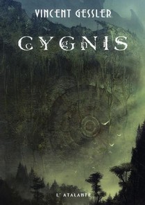 Vincent Gessler - Cygnis