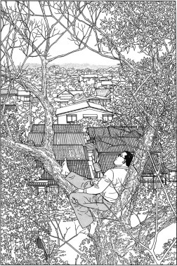 Jirô Taniguchi image