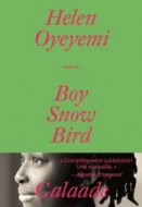 Boy Snow Bird-Helen Oyeyemi