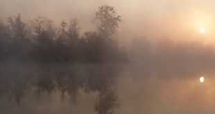 Le Fleuve des brumes