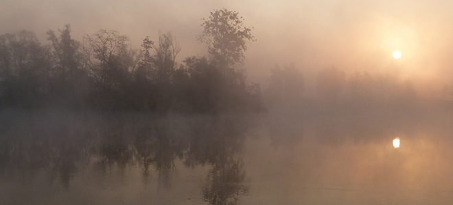 Le Fleuve des brumes