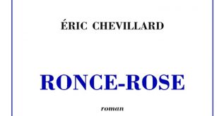 Ronce-Rose d'Eric Chevillard est paru aux Editions de Minuit