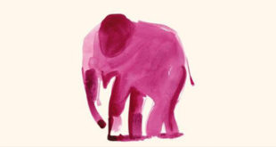 Elephant de Martin Suter paru chez Christian Bourgois