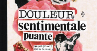 Sara Hébert Douleur sentimentale puante couverture