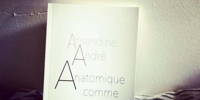 Anatomique comme Amandine André DR