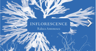 Raluca Antonescu Inflorescence couverture