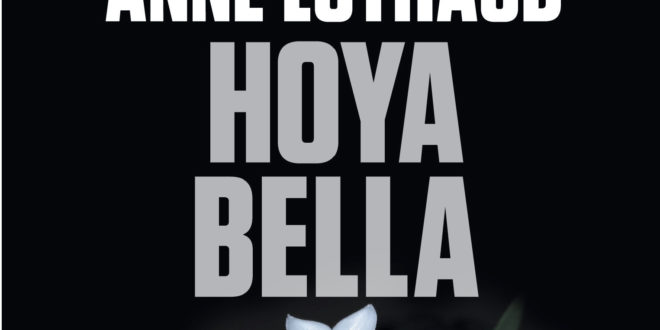 Hoya Bella Anne Luthaud couverture