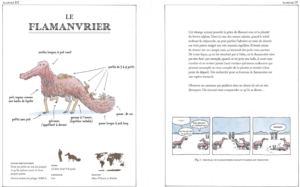 Les animaux qui existent peut-être Stéphane Nicolet Jean-Baptiste Drouot