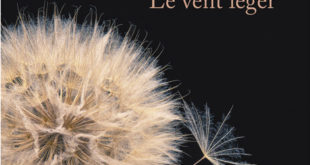 couverture Jean-François Beauchemin Le Vent léger