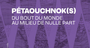 Couverture de l'ouvrage "Pétouchnok(s)" de Riccardo Ciavolella